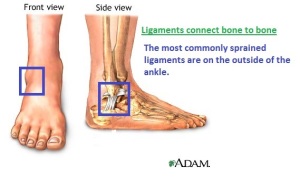Ligaments (ankle sprains)